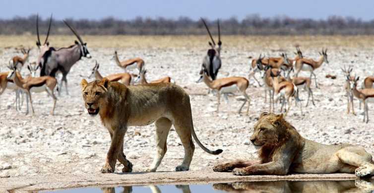 Visite village Himba 